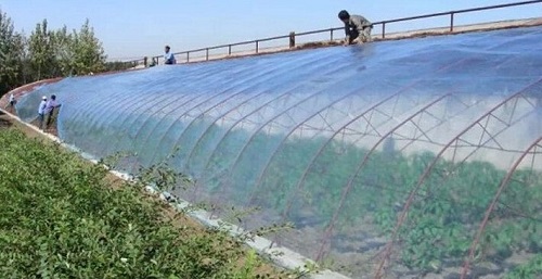 大棚吹膜用哪種增白劑？